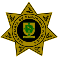 Comisión de Servicio Profesional de Carrera Policial